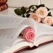 4 Tips voor heldere communicatie