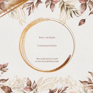 Non-verbale-communicatie